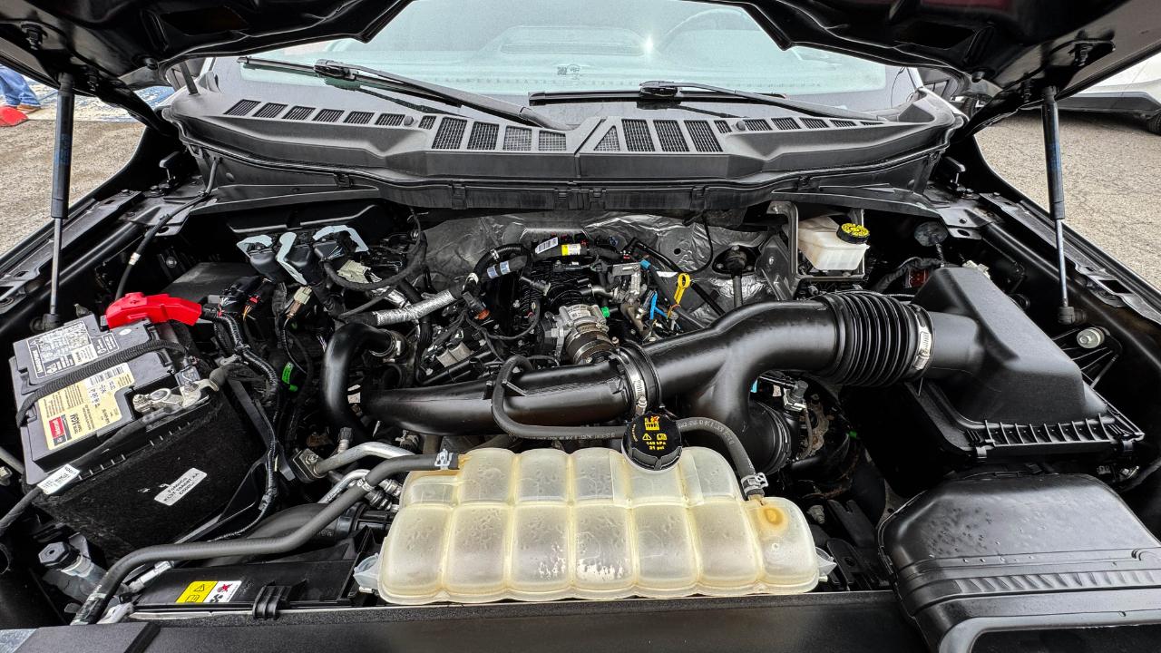Ford F-150 XLT 4WD SuperCrew 5.5' Box 2023