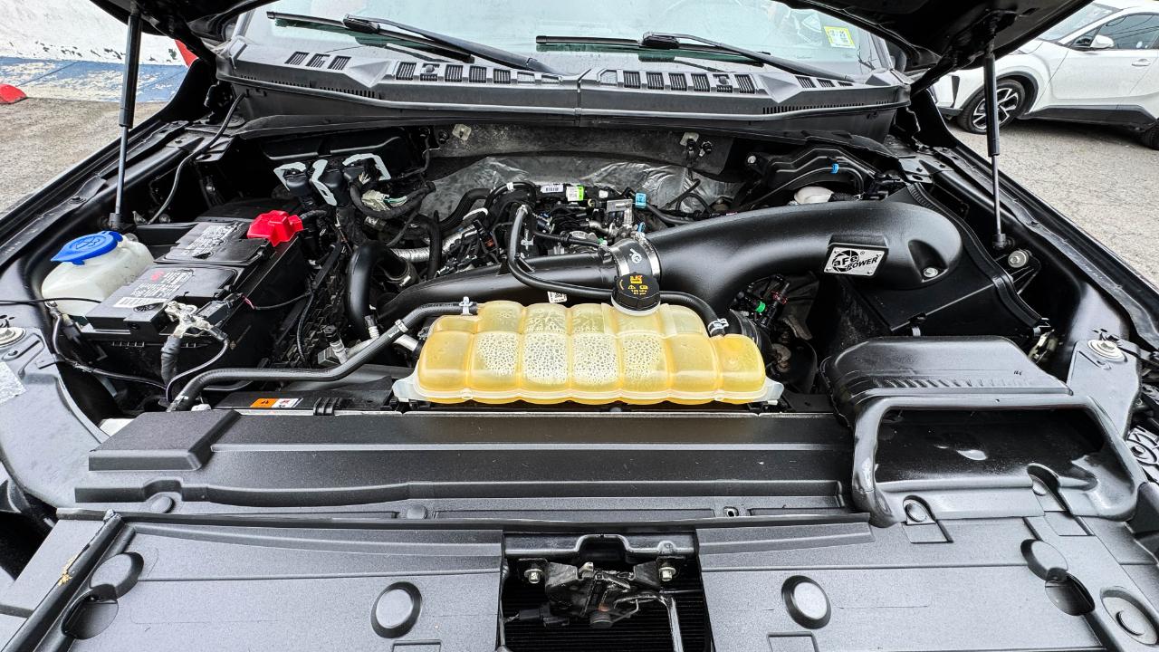 Ford F-150 XLT 4WD SuperCrew 5.5' Box 2019