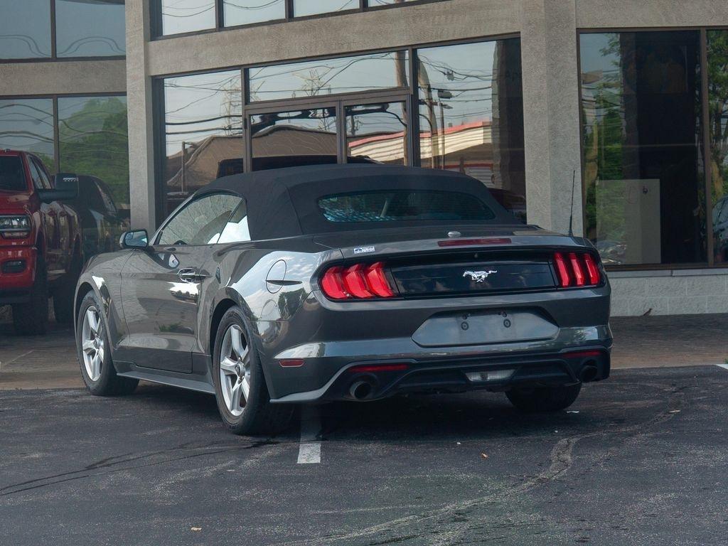 Ford Mustang  2019