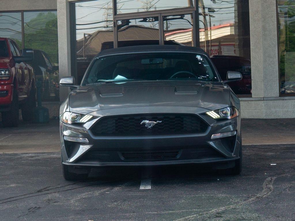 Ford Mustang  2019