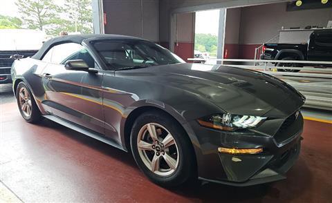 2019 Ford Mustang 