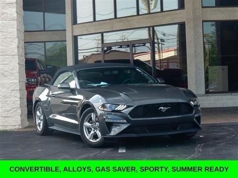 2019 Ford Mustang 