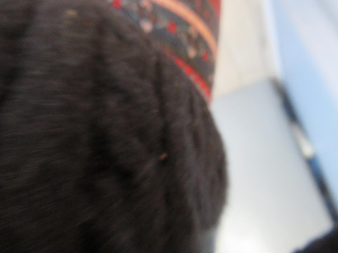 Ford Transit 250 Van Med. Roof w/Sliding Pass. 130-in. WB 2017