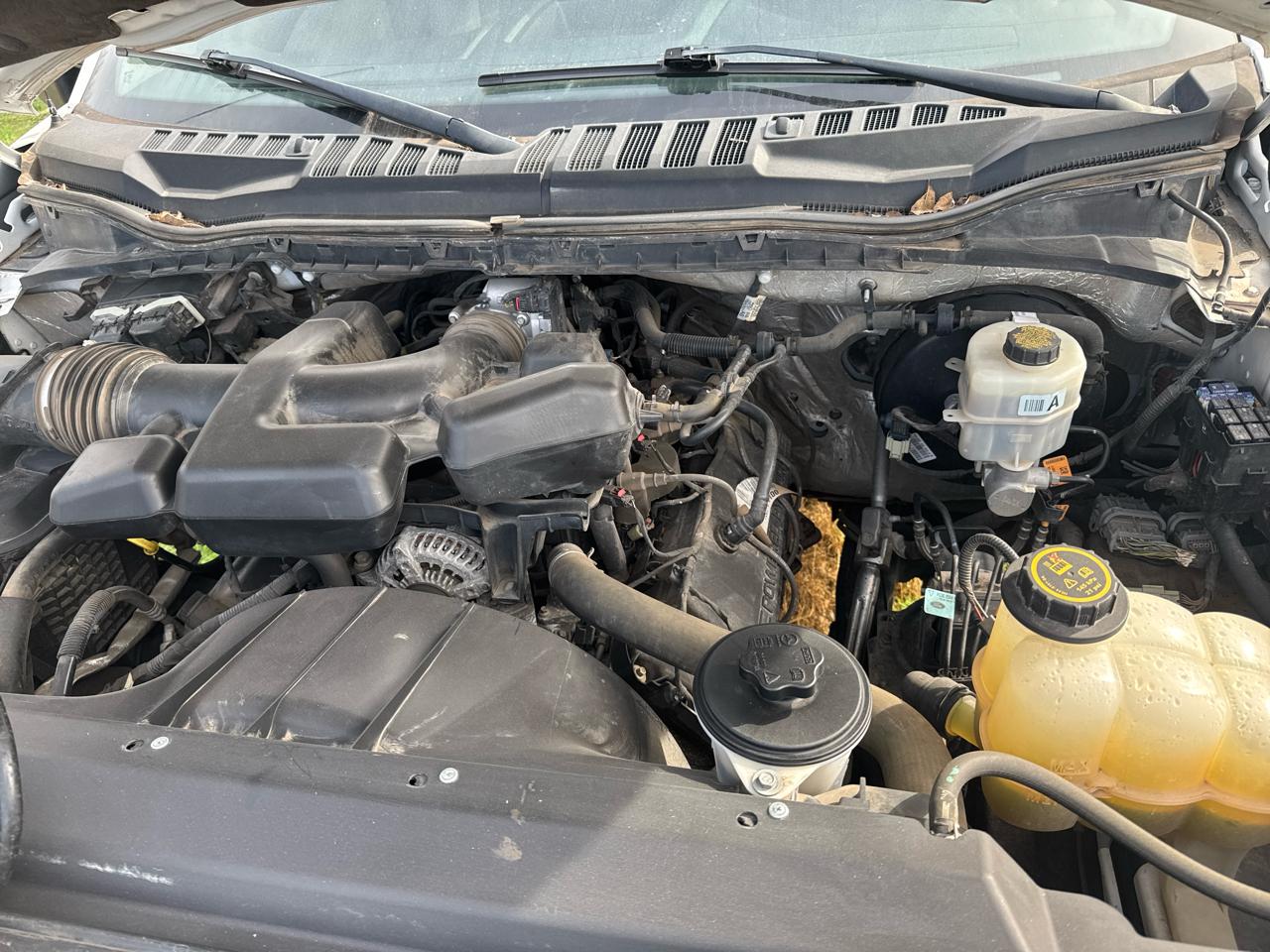 Ford F-250 SD XL 2WD 2017