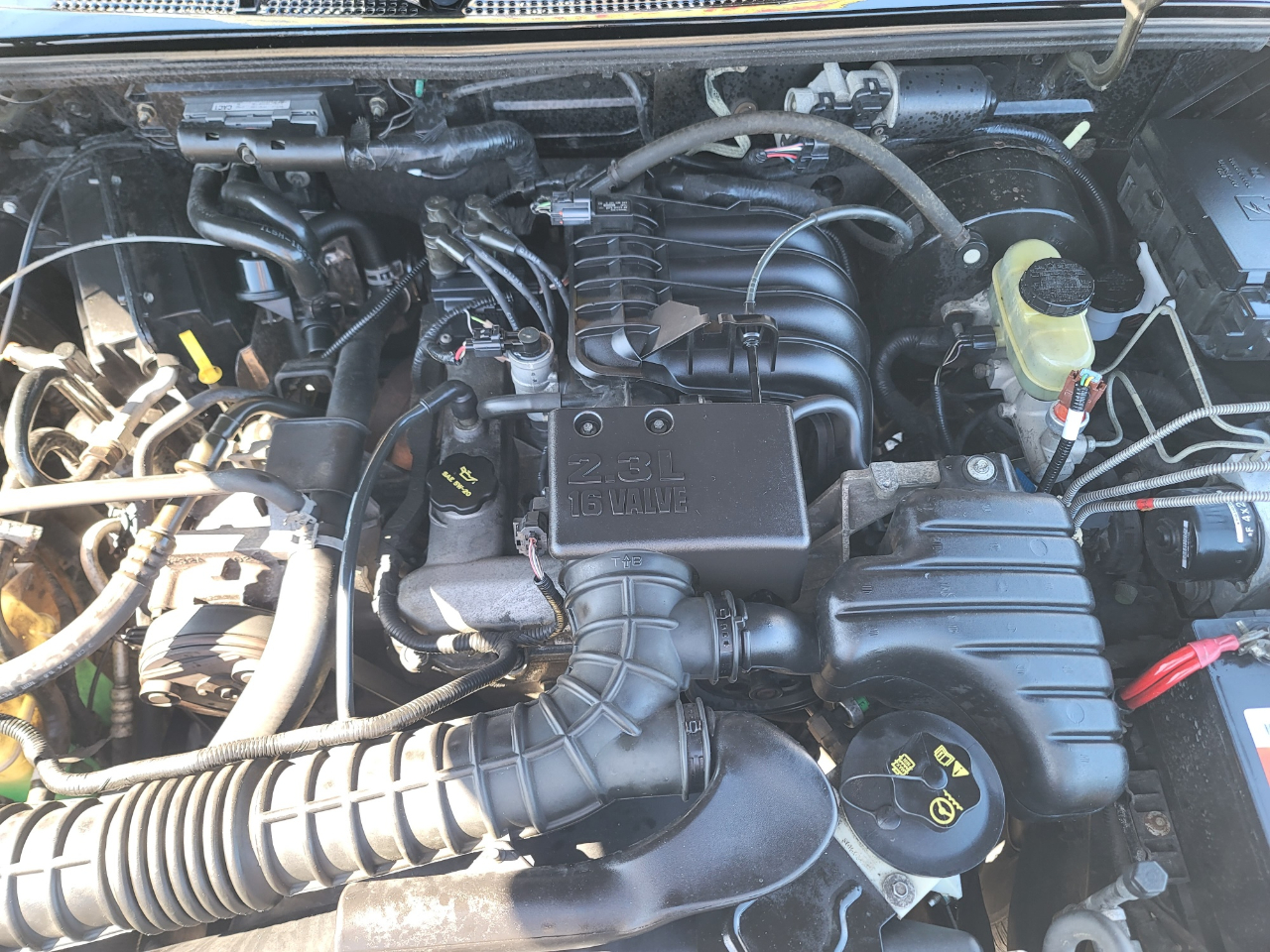 Ford Ranger XLT Reg. Cab Short Bed 2WD 2003