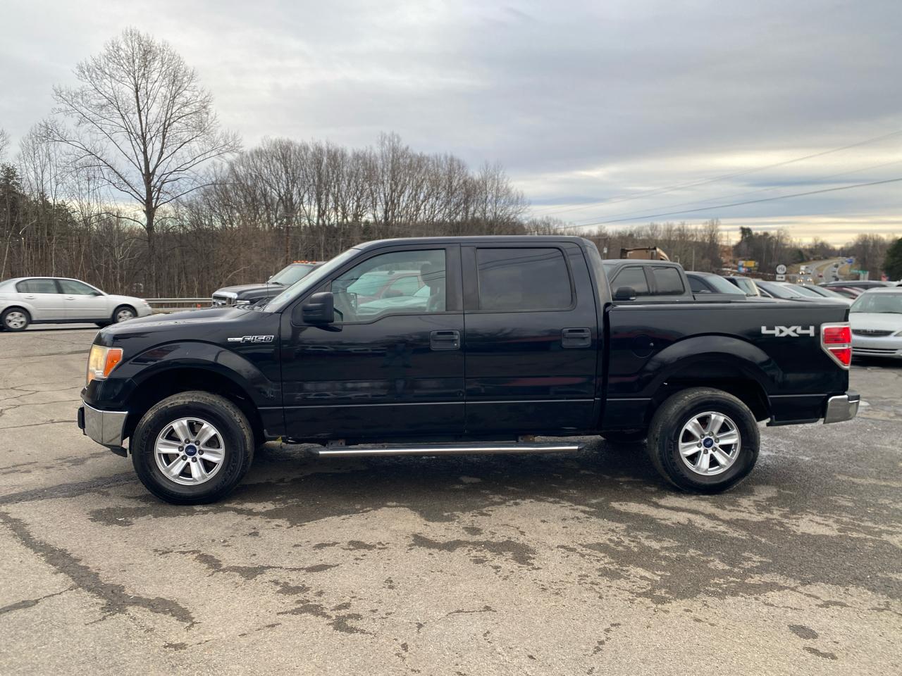 Ford F-150 XLT 4WD SuperCrew 6.5' Box 2010