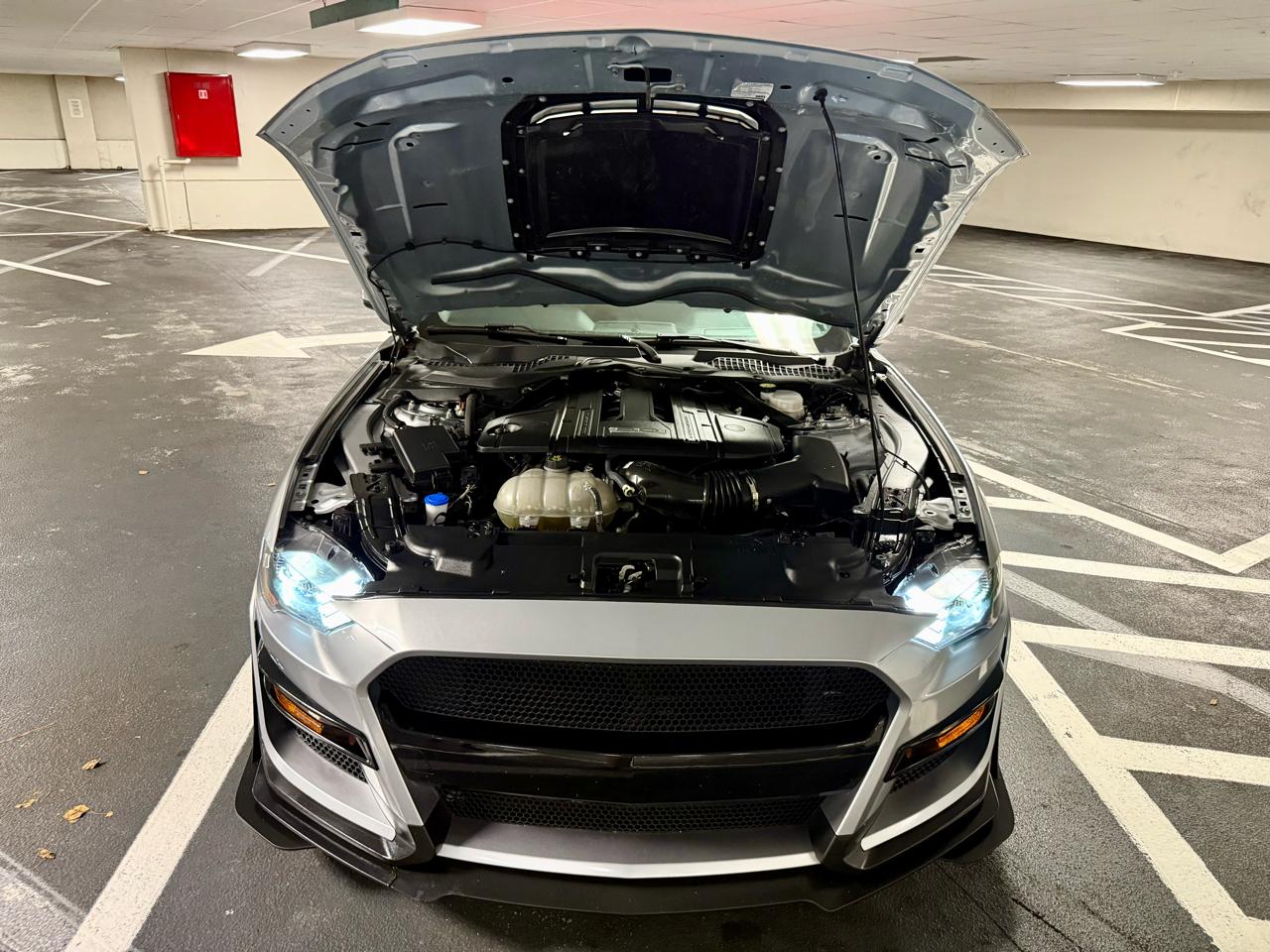 Ford Mustang GT Fastback 2022