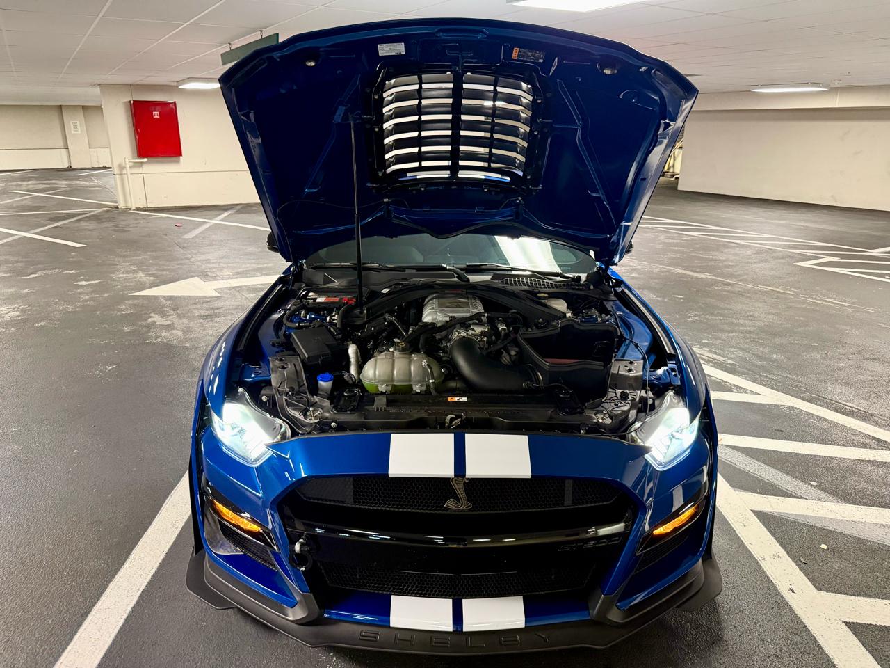 Ford Mustang Shelby GT500 Fastback 2022