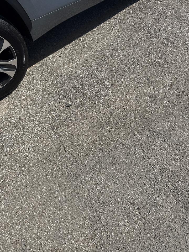 Toyota Highlander Platinum FWD (Natl) 2023