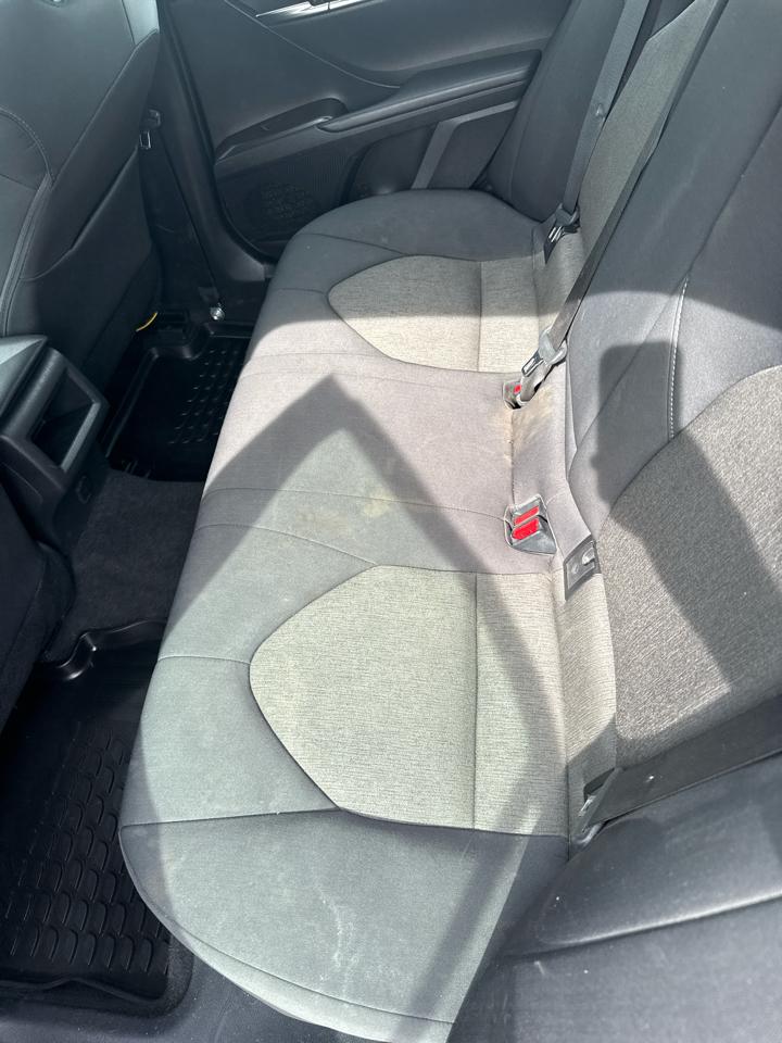 Toyota Camry LE Auto (Natl) 2023