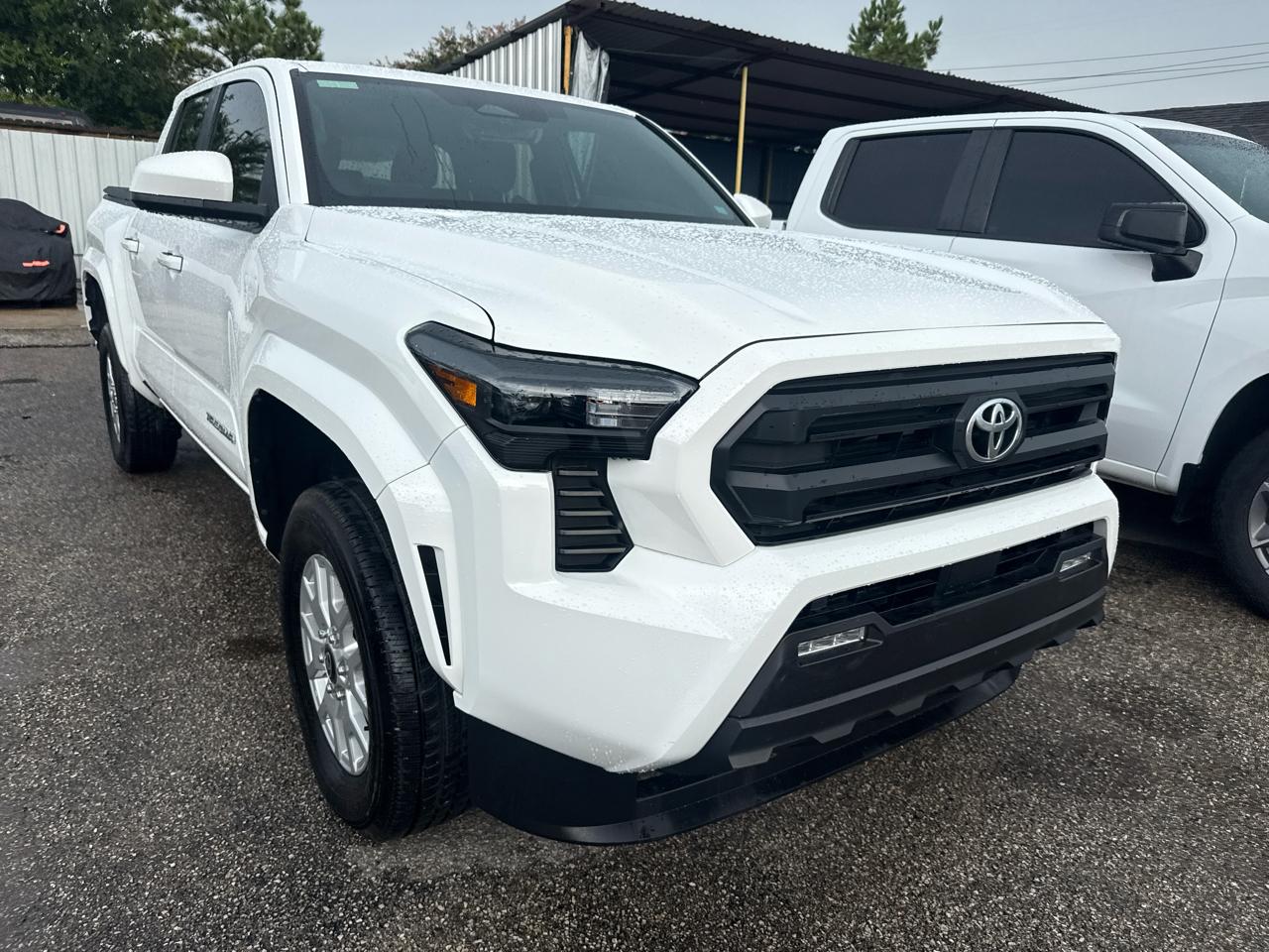 Toyota Tacoma 2WD TRD Sport Double Cab 5' Bed AT (Natl) 2025