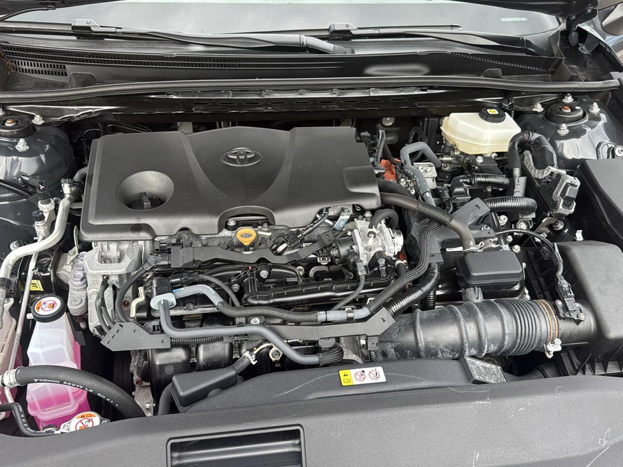 Toyota Camry XLE (Natl) 2025