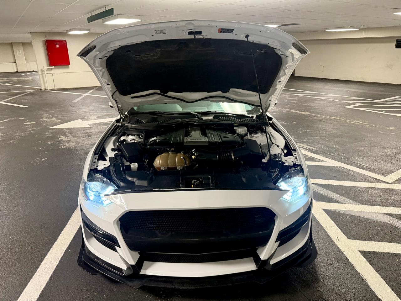 Ford Mustang GT Fastback 2019