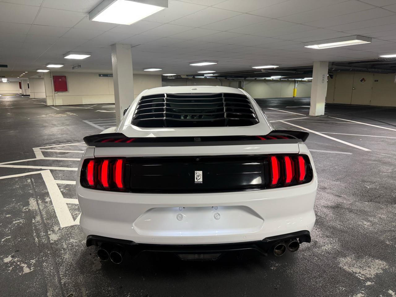 Ford Mustang GT Fastback 2019