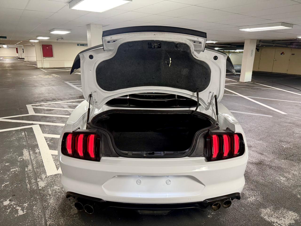Ford Mustang GT Fastback 2019