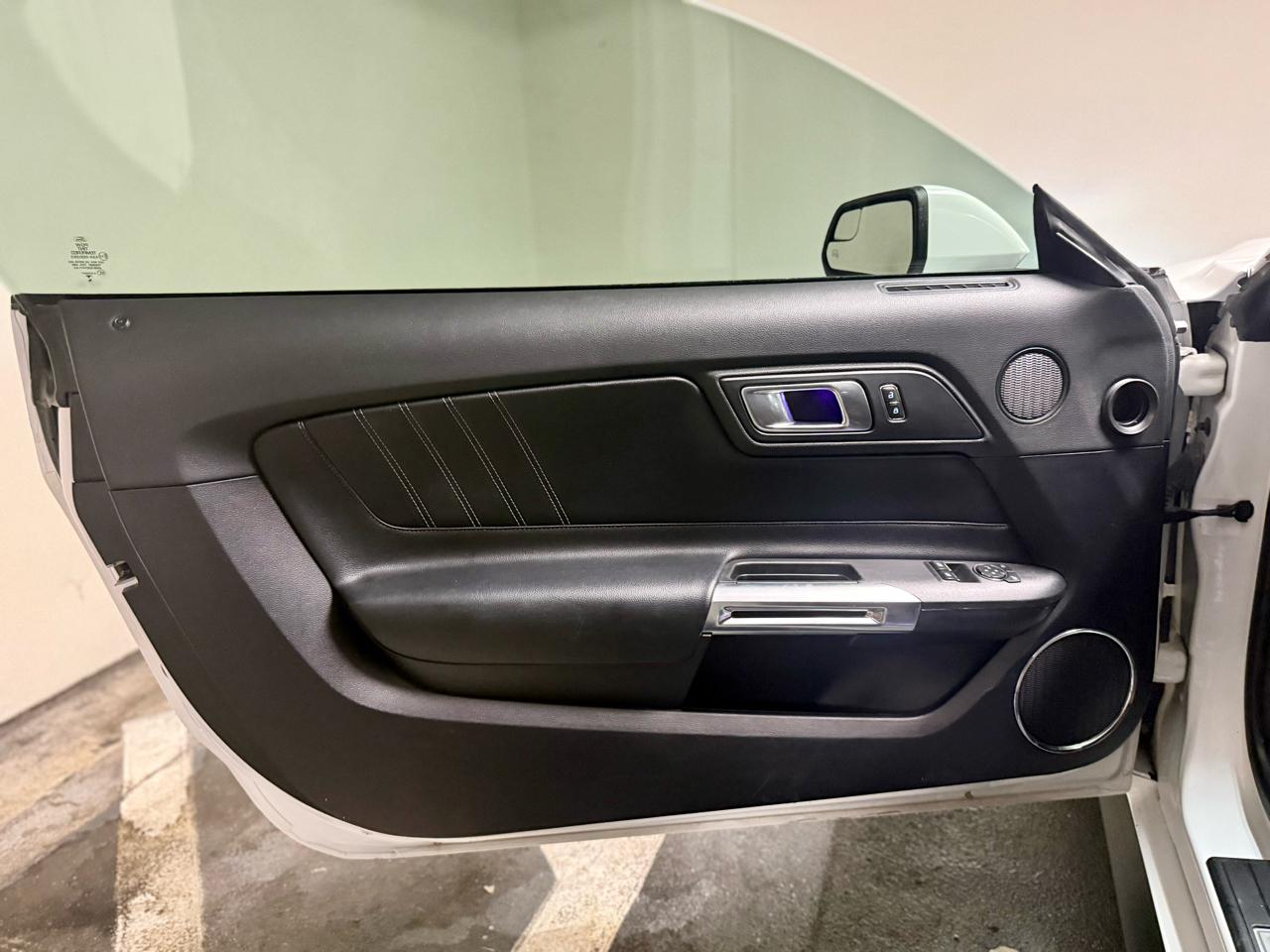 Ford Mustang GT Fastback 2019