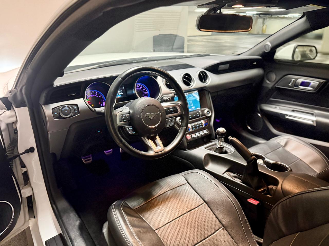 Ford Mustang GT Fastback 2019