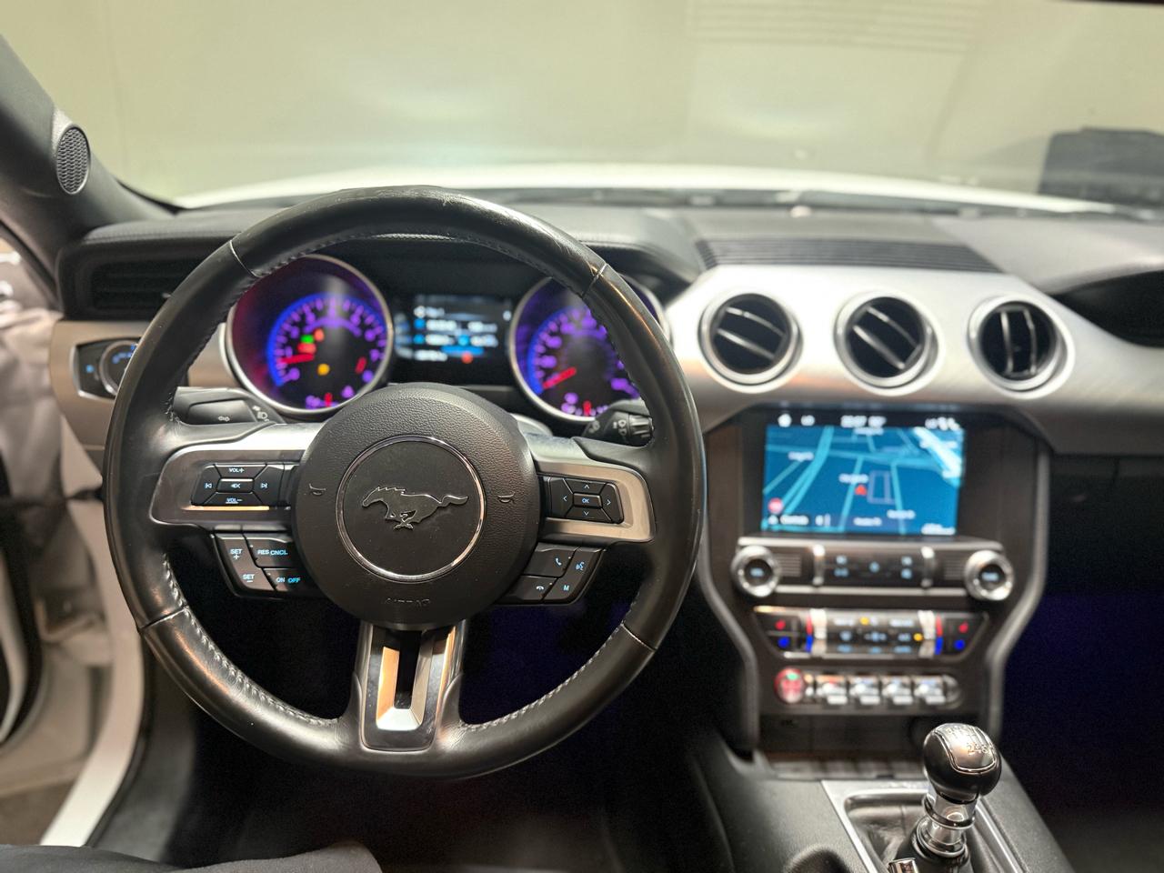 Ford Mustang GT Fastback 2019