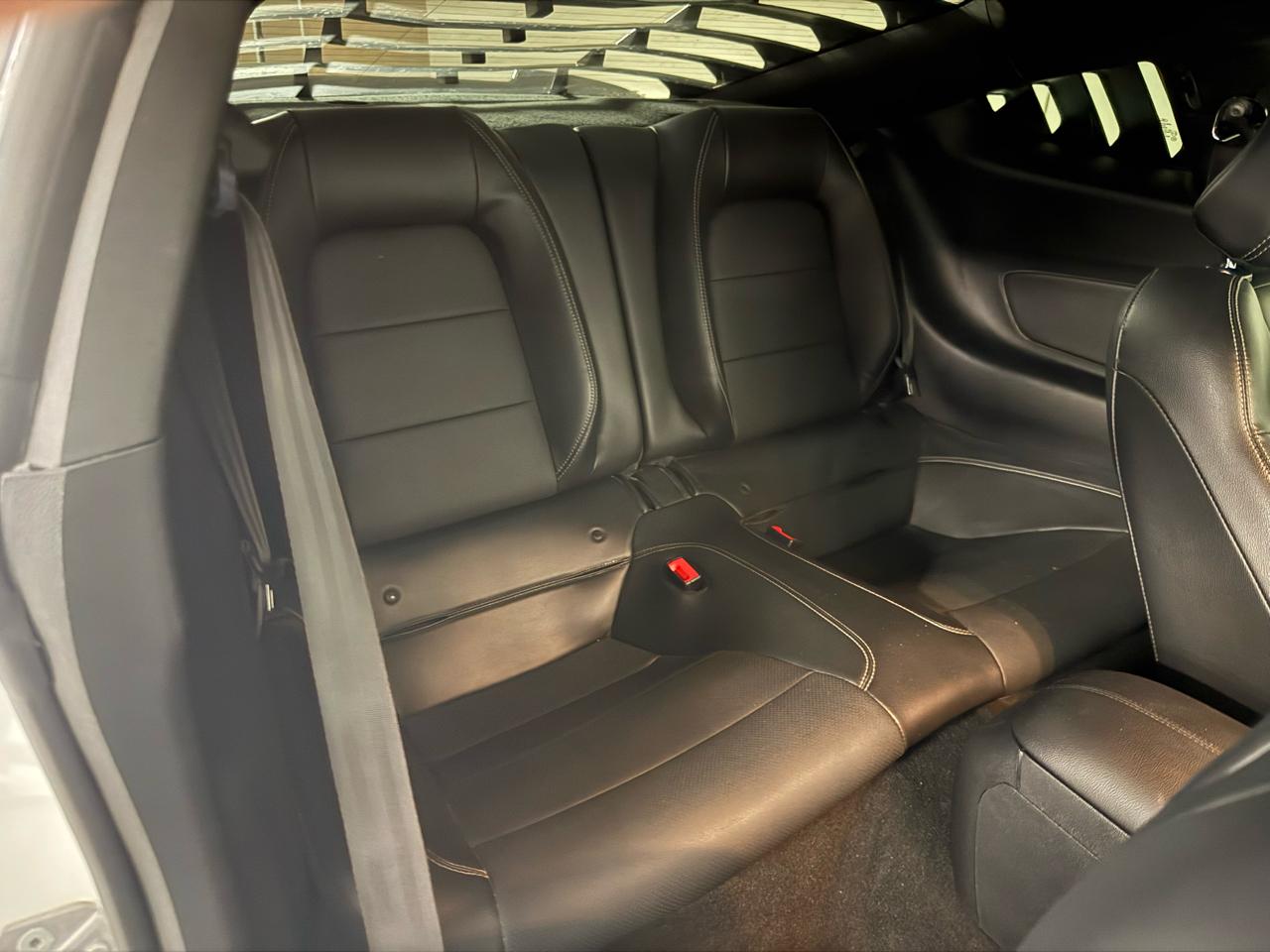 Ford Mustang GT Fastback 2019