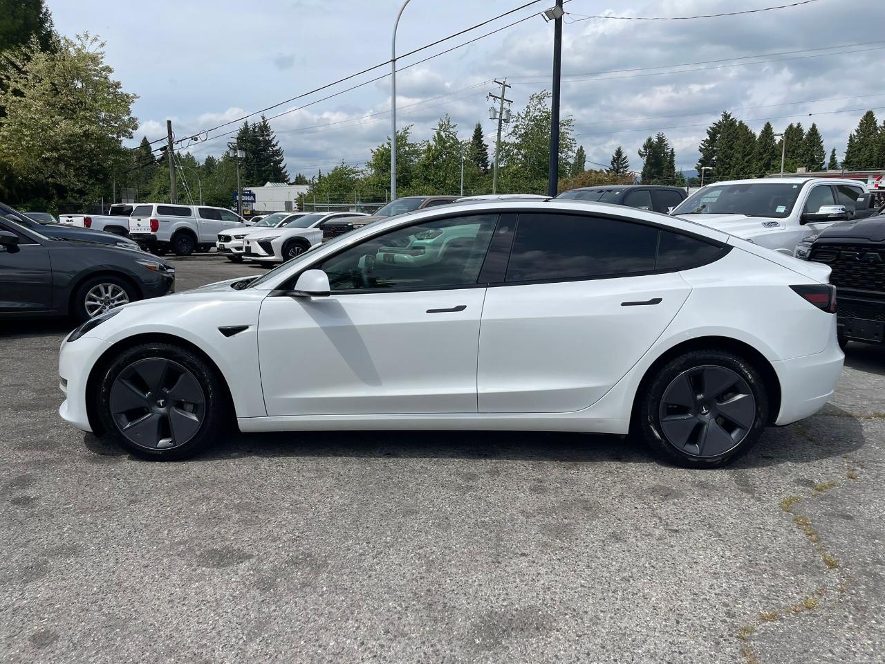Tesla Model 3 RWD 2023
