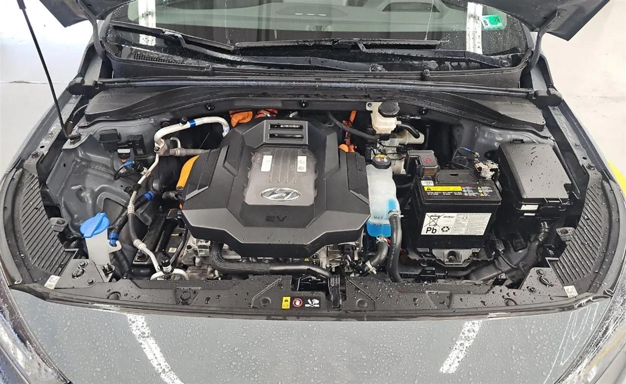 Hyundai Ioniq Electric  2021