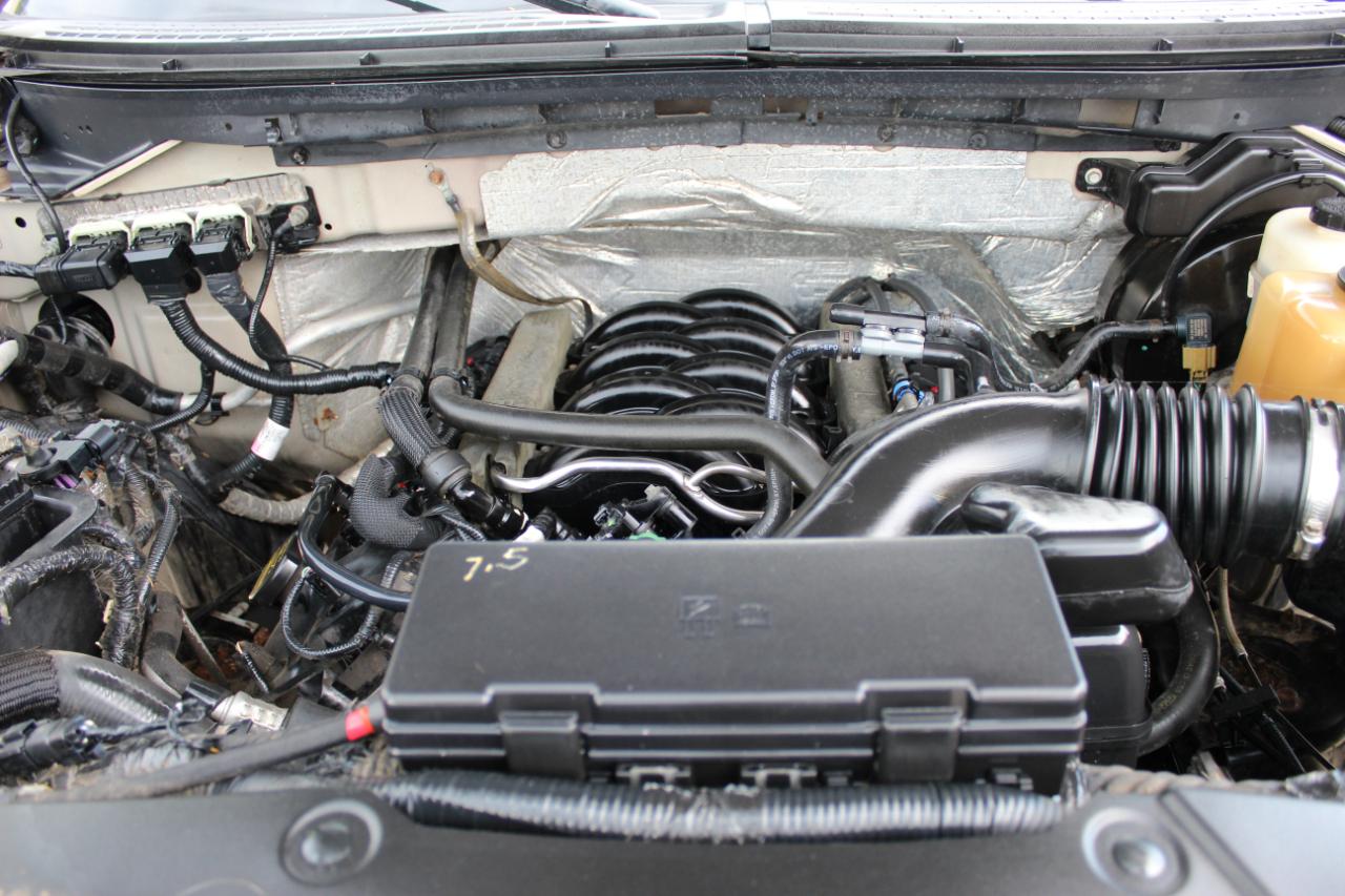 Ford F-150 XLT SuperCrew 6.5-ft. Bed 4WD 2013