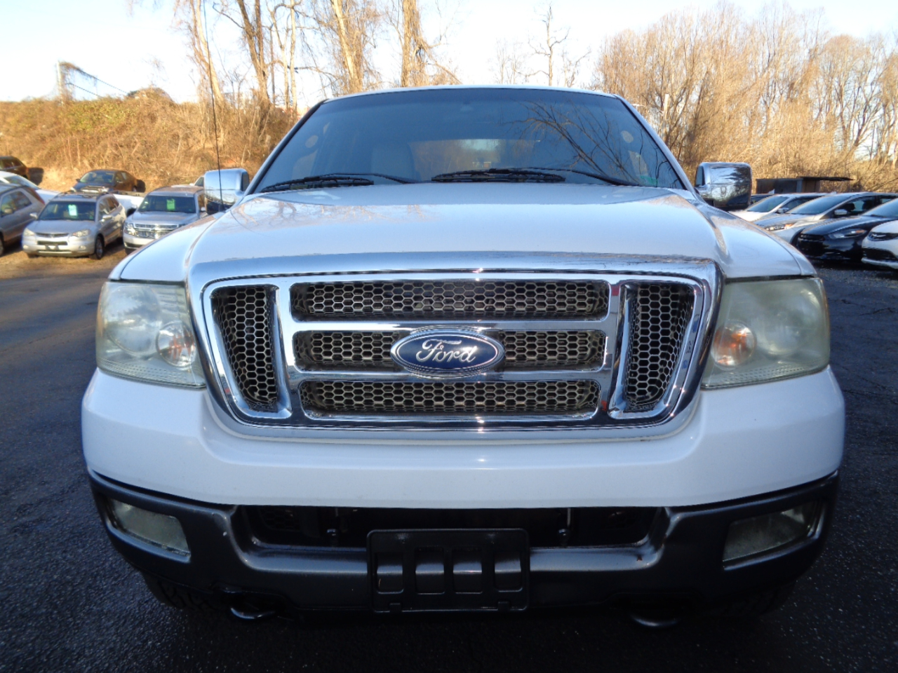 Ford F-150 FX4 SuperCrew 4WD 2005