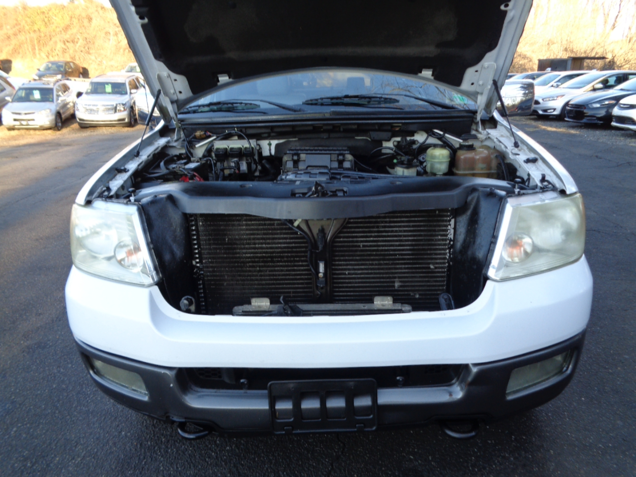 Ford F-150 FX4 SuperCrew 4WD 2005