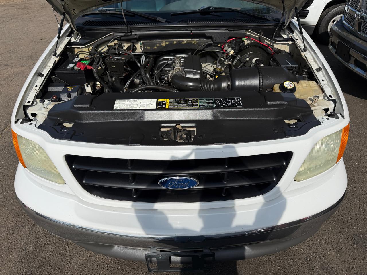 Ford F-150 Heritage XLT 2004