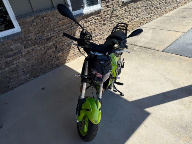 Benelli Leoncino  2023