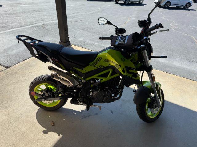 Benelli Leoncino  2023