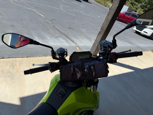 Benelli Leoncino  2023