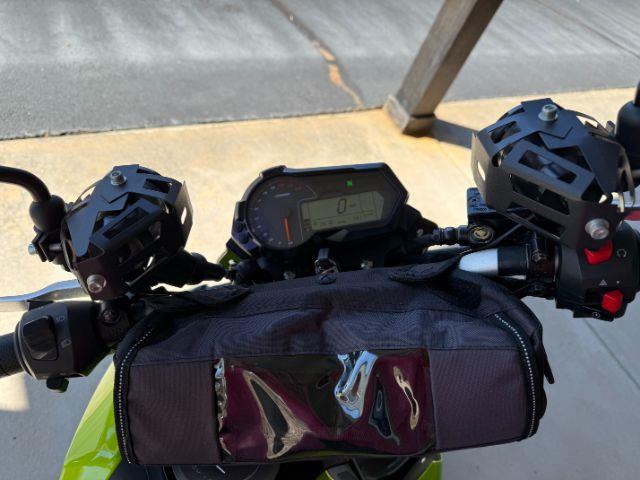 Benelli Leoncino  2023