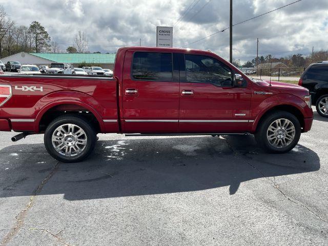 Ford F-150 Platinum SuperCrew 5.5-ft. Bed 4WD 2013