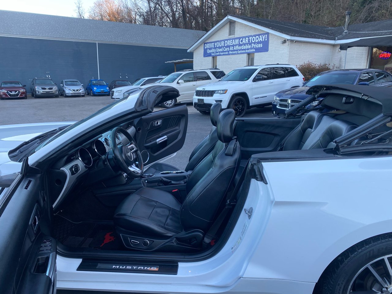 Ford Mustang EcoBoost Premium Convertible 2017