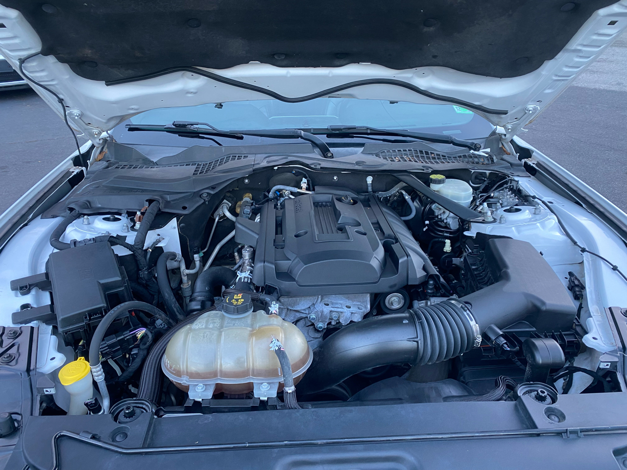 Ford Mustang EcoBoost Premium Convertible 2017