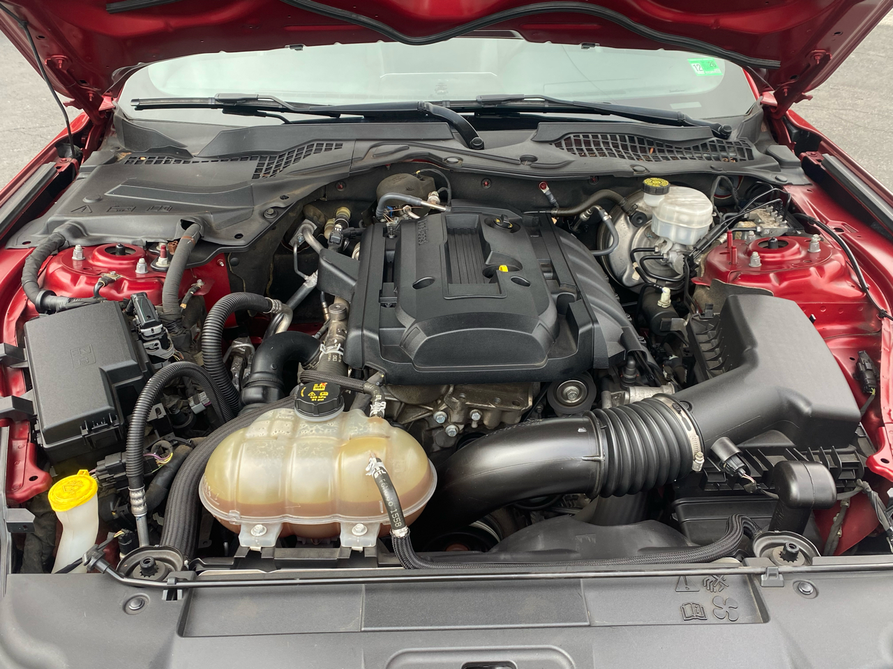 Ford Mustang EcoBoost Fastback 2018