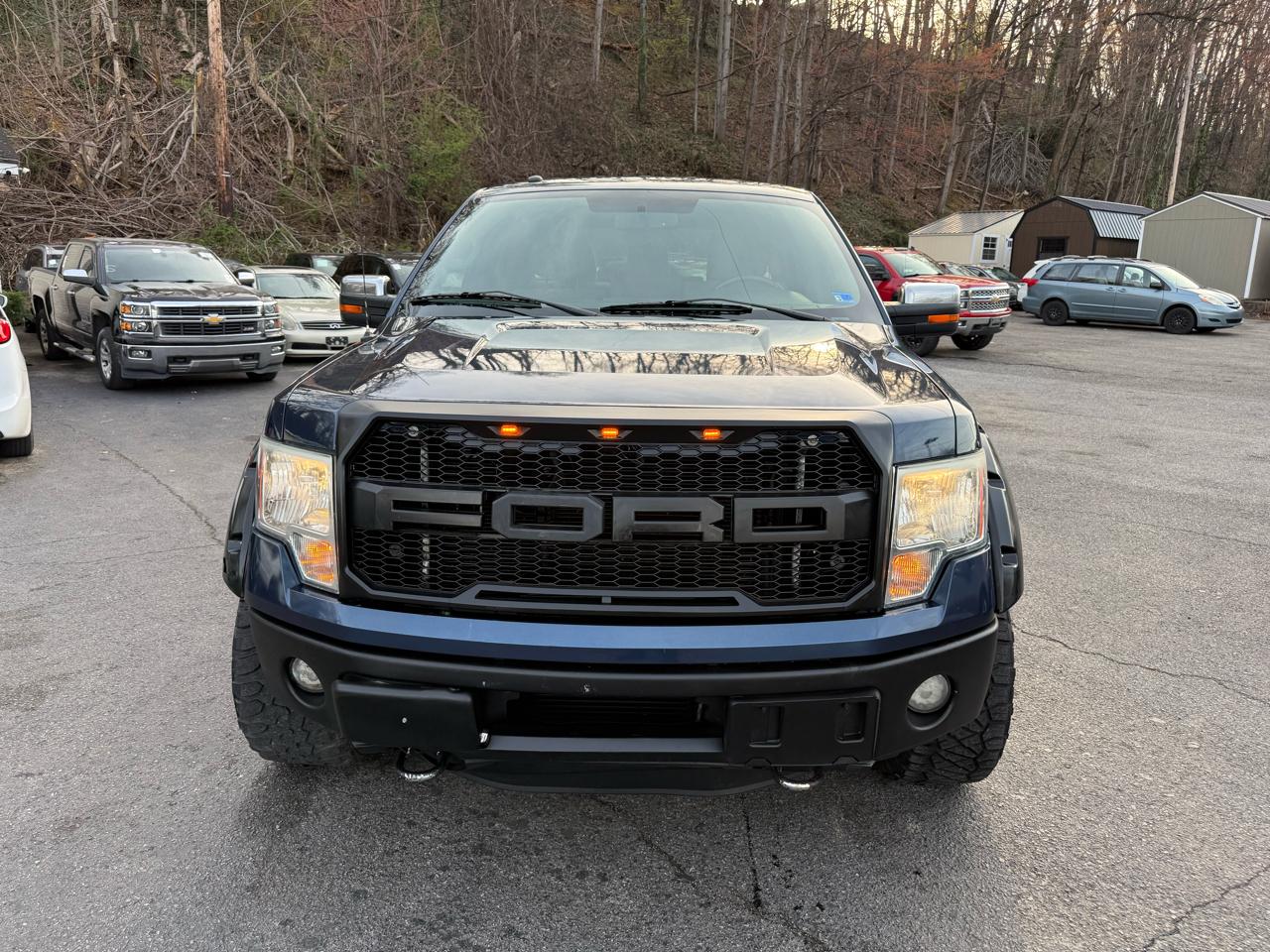 Ford F-150 4WD SuperCrew 145" King Ranch 2013