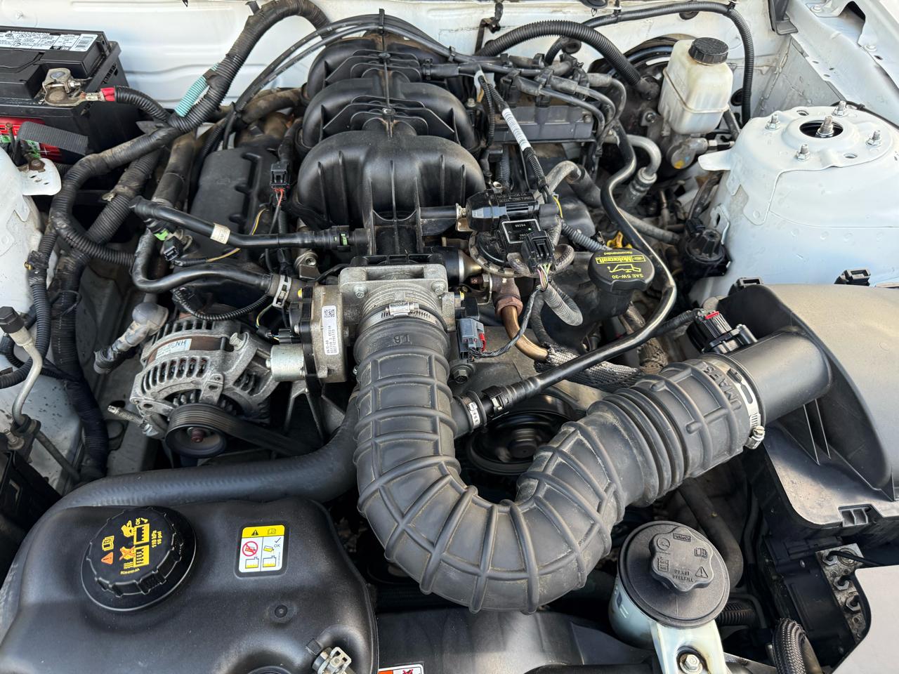 Ford Mustang 2dr Cpe V6 2010