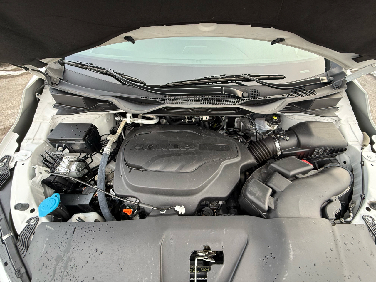 Honda Odyssey EX-L 2024