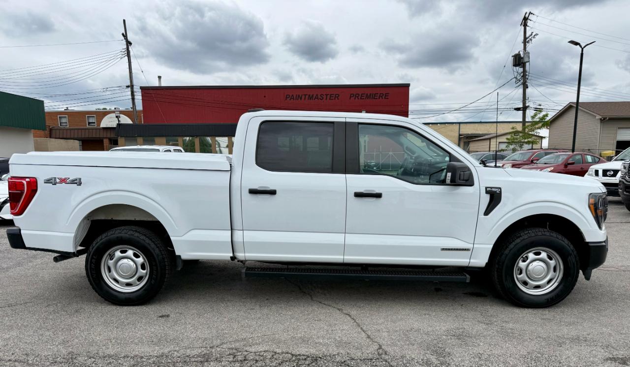 Ford F-150 XL SuperCrew 5.5-ft. Bed 4WD 2023