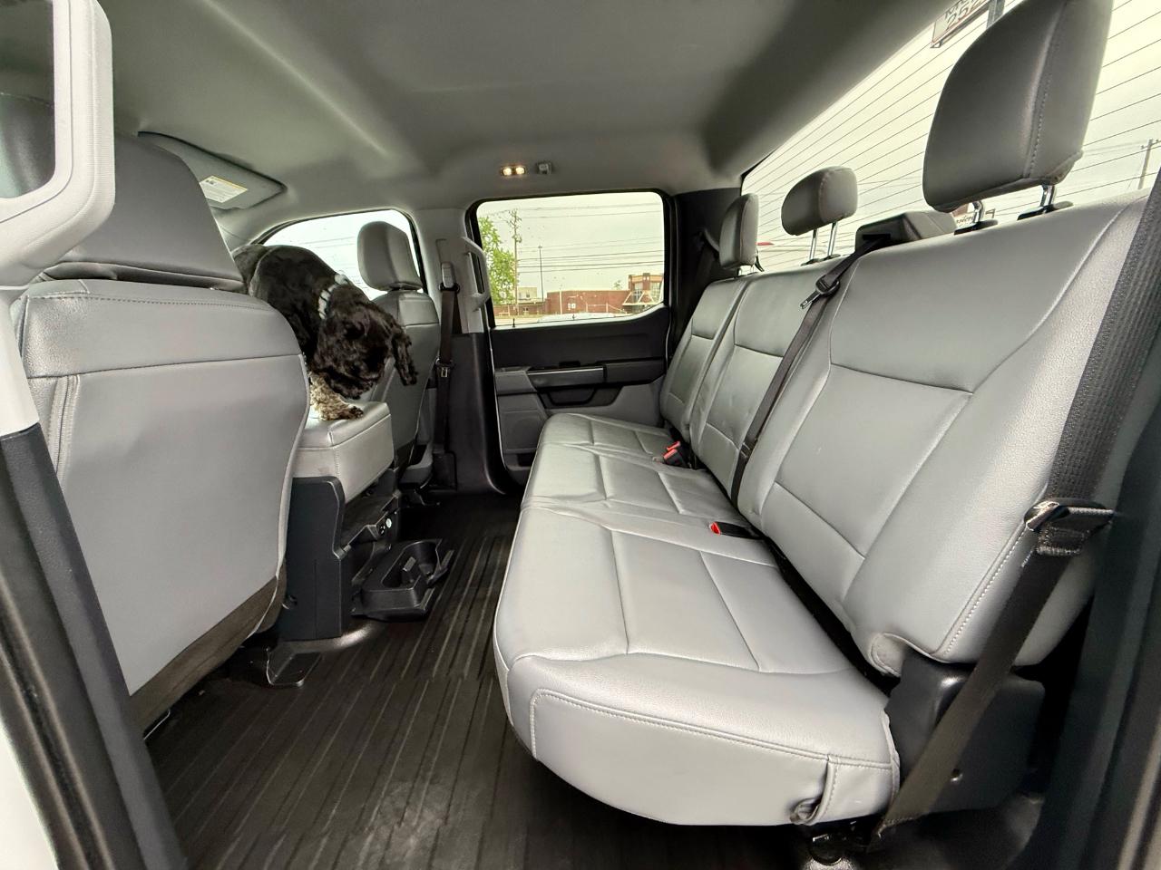 Ford F-150 XL SuperCrew 5.5-ft. Bed 4WD 2023