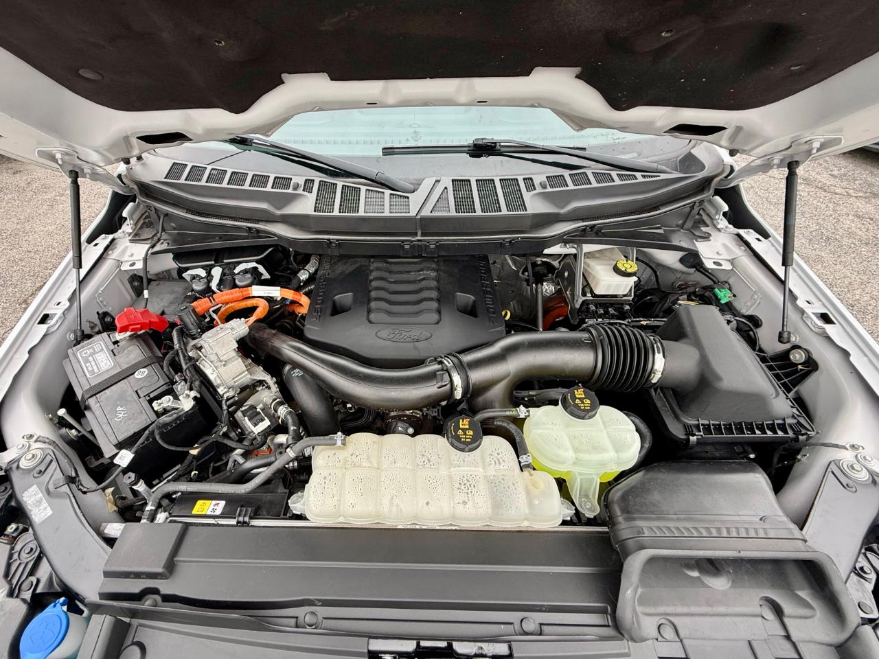Ford F-150 XL SuperCrew 5.5-ft. Bed 4WD 2023