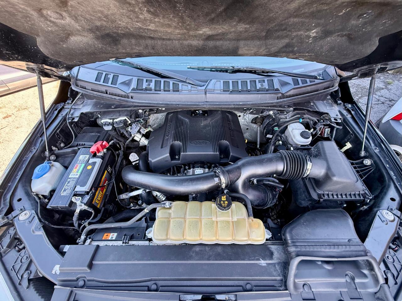 Ford F-150 XLT 4WD SuperCrew 5.5' Box 2019