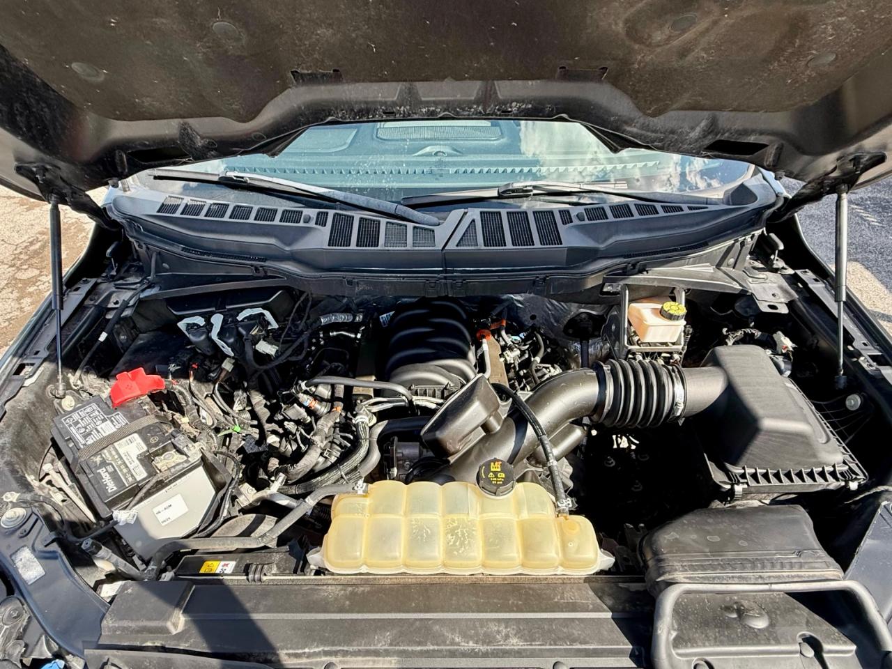 Ford F-150 XLT 4WD SuperCrew 6.5' Box 2022