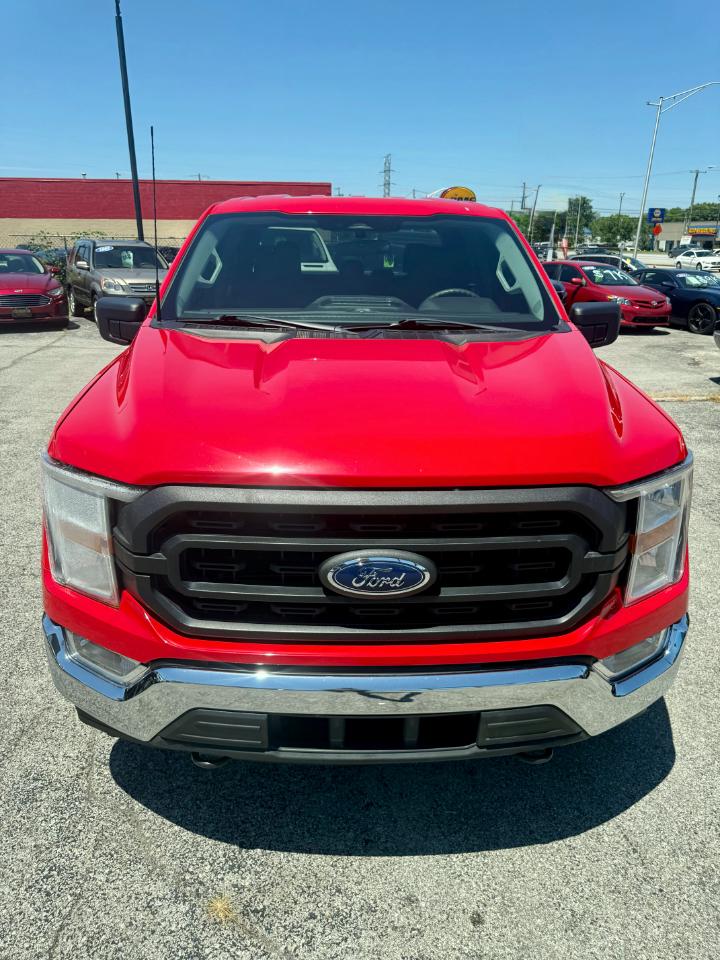 Ford F-150 XL SuperCrew 6.5-ft. Bed 4WD 2022