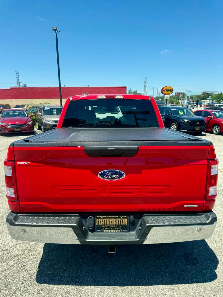 Ford F-150 XL SuperCrew 6.5-ft. Bed 4WD 2022