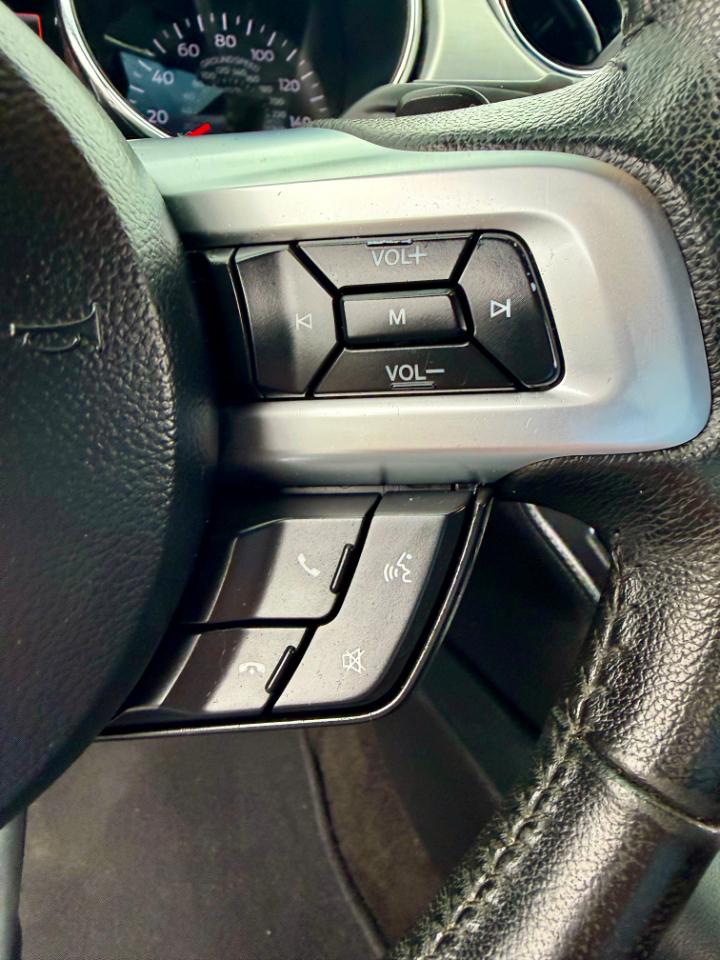 Ford Mustang EcoBoost Coupe 2015