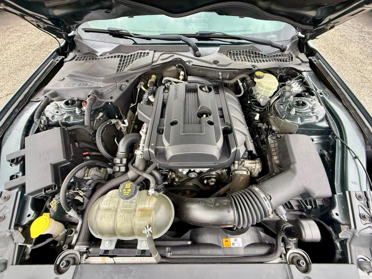 Ford Mustang EcoBoost Coupe 2015