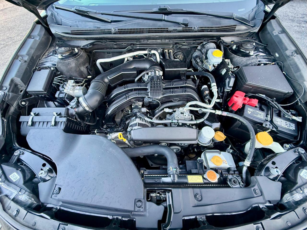 Subaru Outback Premium 2024